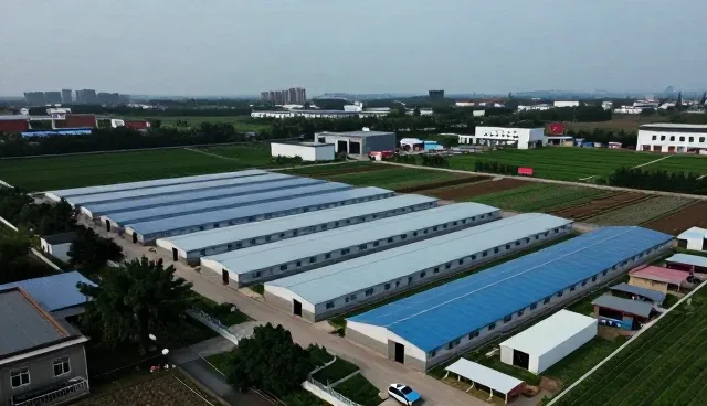 软件升级过程中常见的问题及应对策略